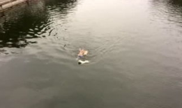 塘汛视频,揭秘神秘古村落的历史变迁